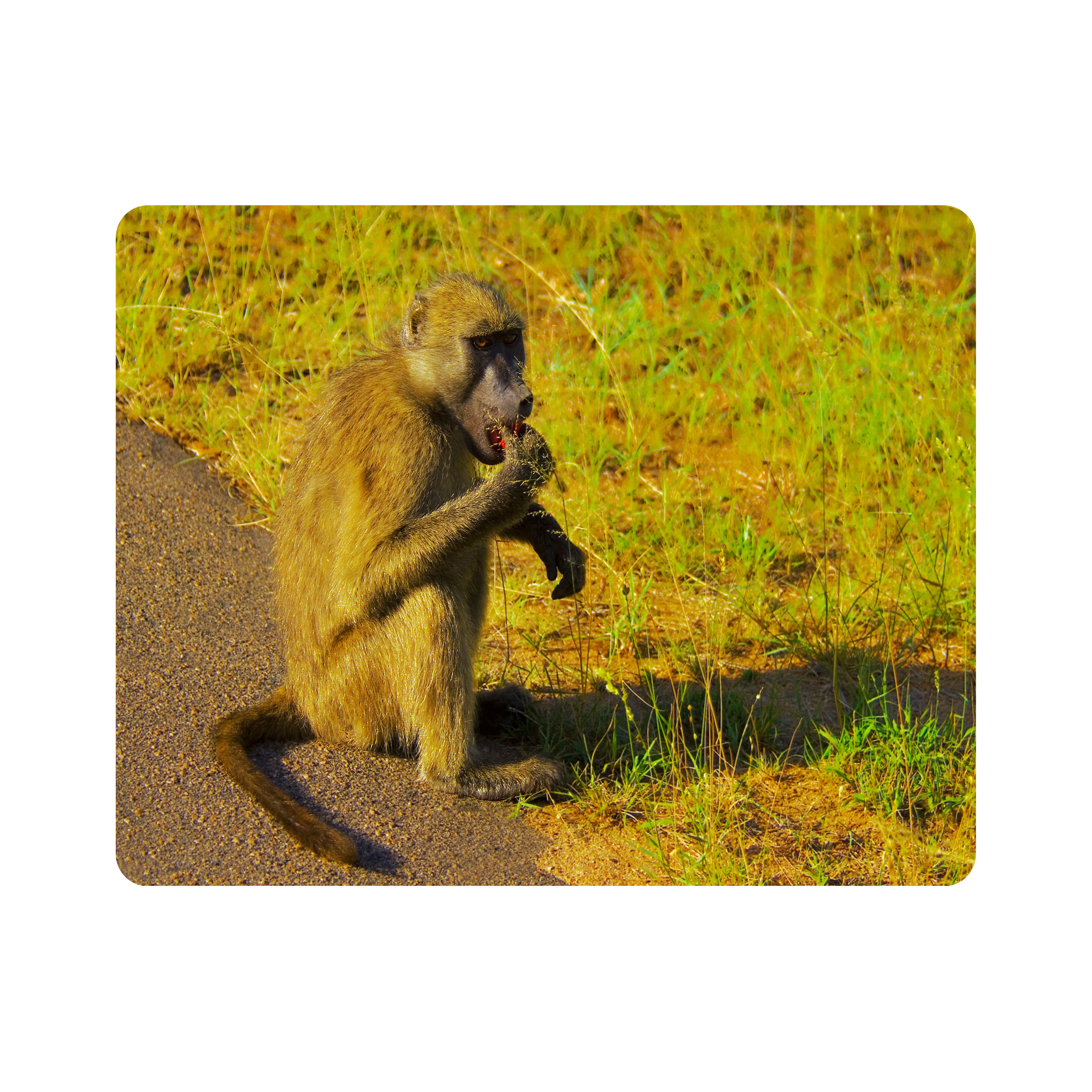 ماوس پد اطلس آبی طرح میمون و جنگل مدل T2012