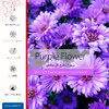برچسب پوششی ماهوت مدل Purple-Flower مناسب برای تبلت اپل iPad Pro 11 (GEN 2) 2020 A2230