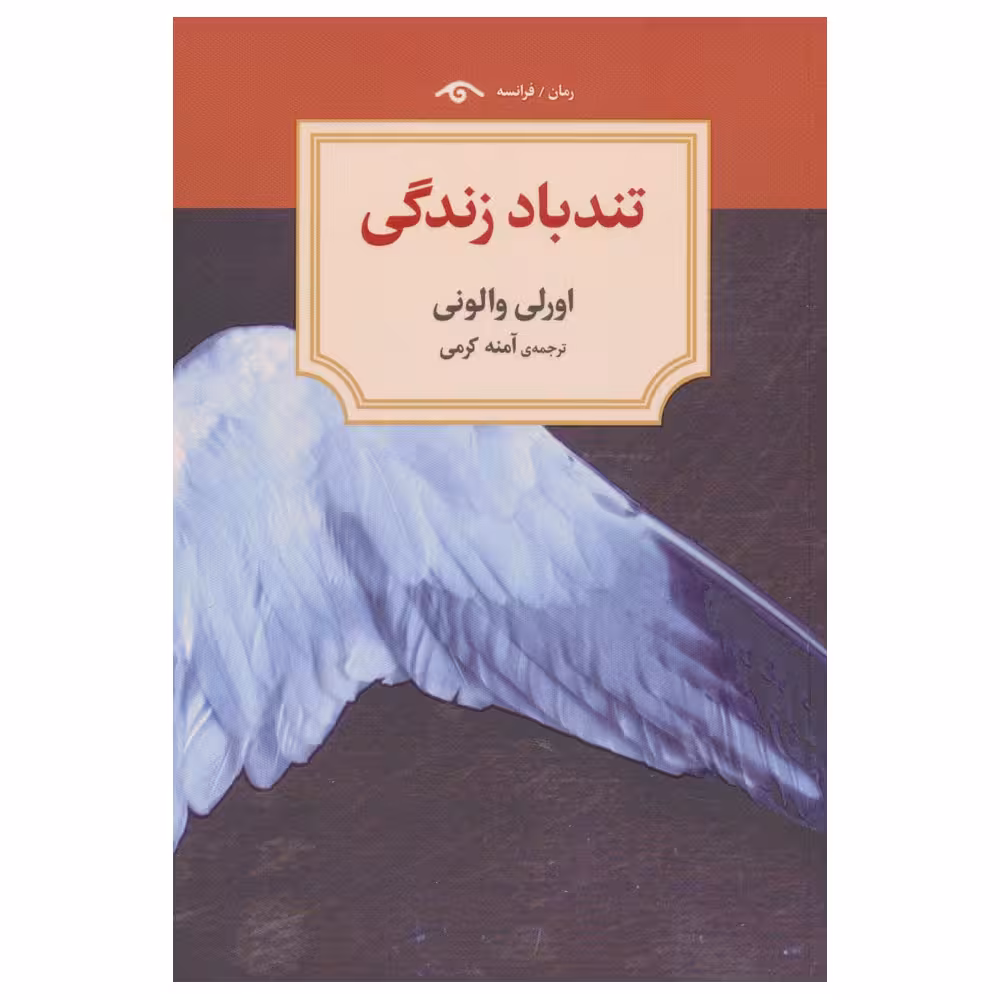 کتاب تند باد زندگی اثر اورلی والونی انتشارات دیدآور