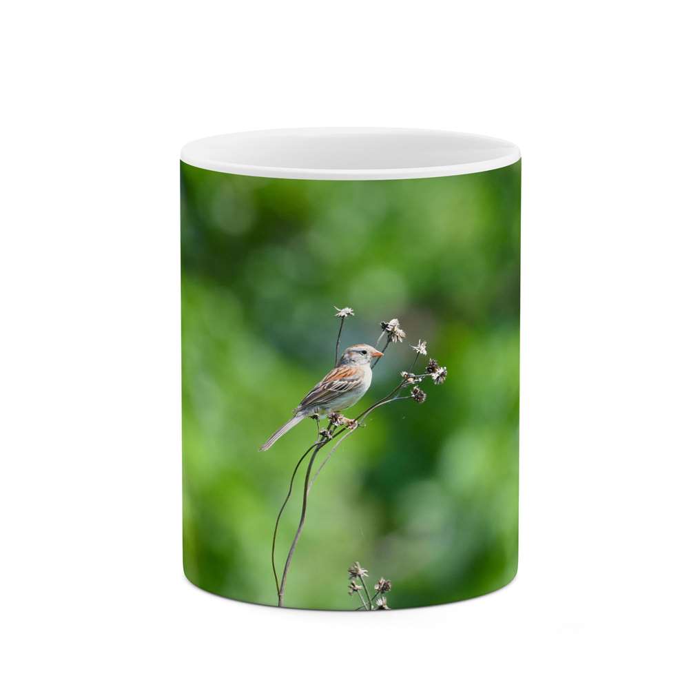 ماگ طرح طبیعت و حیات وحش زیبا  مدل mgp14788