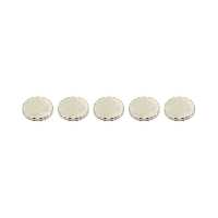 آهنربا نئودیمیوم 10x2 سوپرمگنت دیسک سایز 10x2 mm میلیمتر بسته 5عددی مگامگنت 