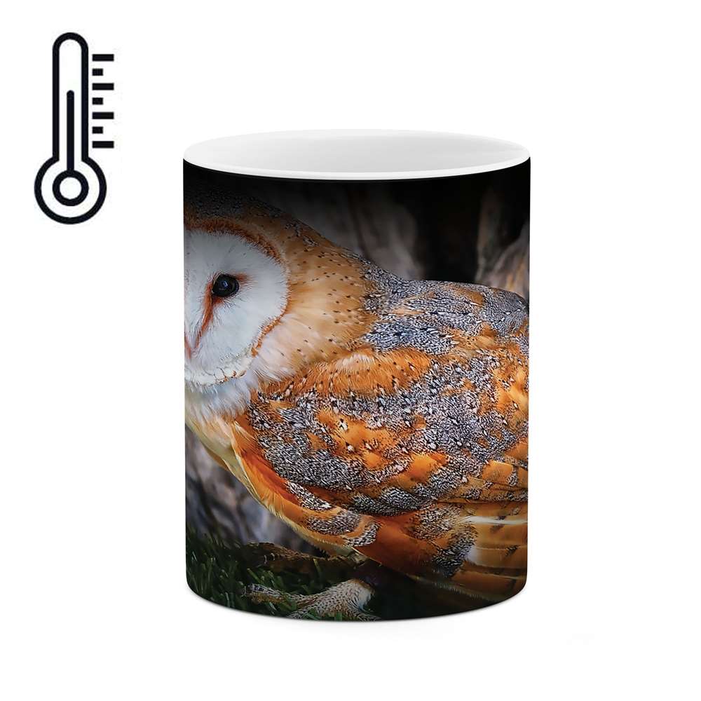 ماگ حرارتی طرح جغد مدل mgh05099