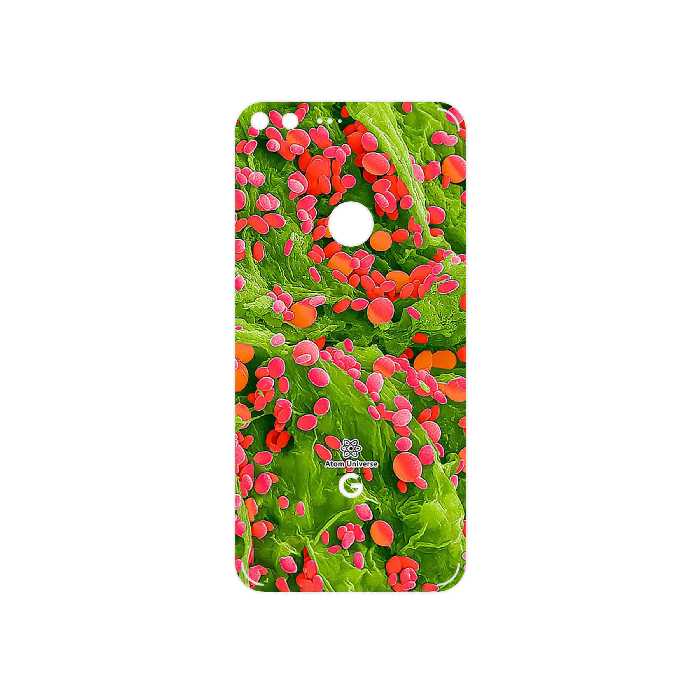 برچسب پوششی ماهوت مدل Atom Universe 3 مناسب برای گوشی موبایل گوگل Pixel