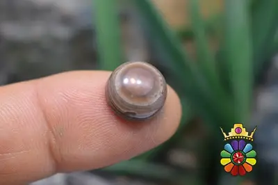 عقیق باباقوری