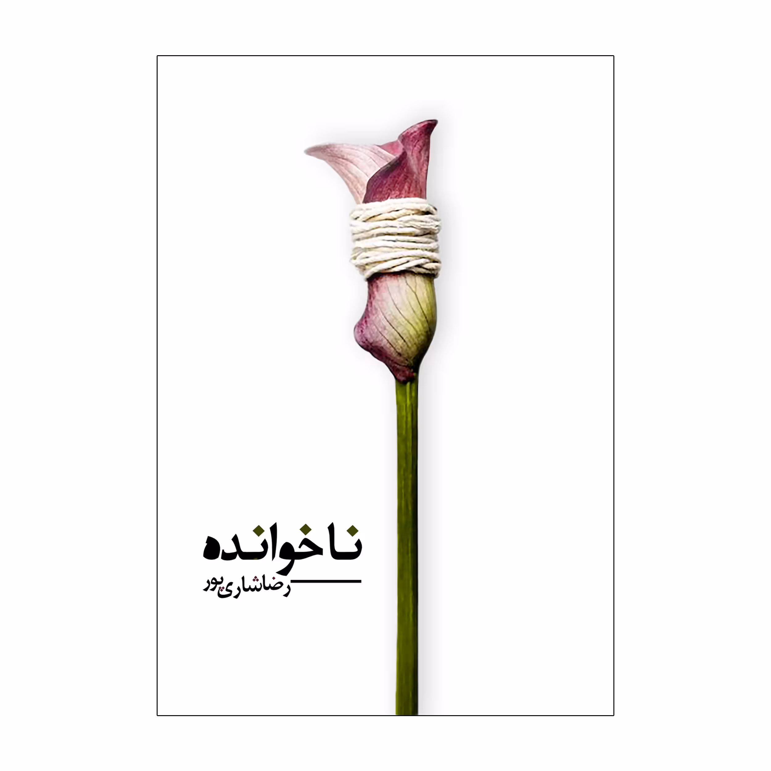 کتاب ناخوانده اثر رضا شاری پور انتشارات نامه مهر 