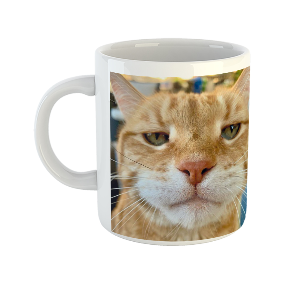 ماگ طرح گربه بداخلاق مدل B500