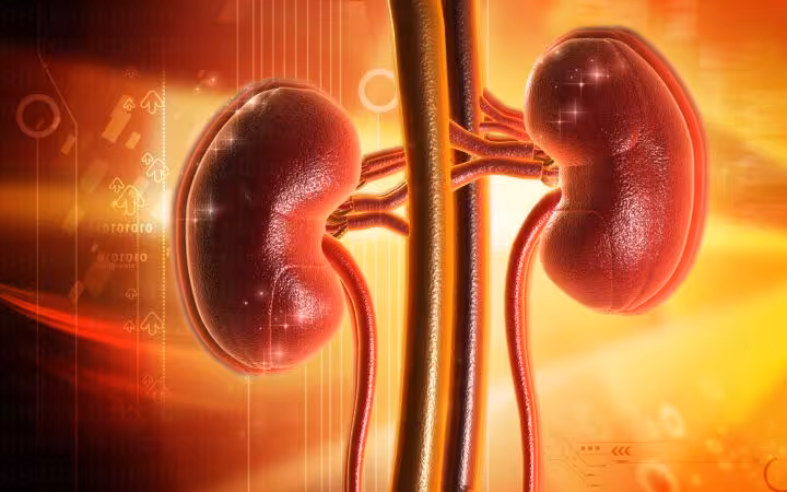 خرید و دانلود عکس Medical-Part-1 کد 32304 | پیک فاکس | Pic Fox
