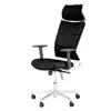 صندلی مدیریتی آرتمن مدل DCM 163 L91