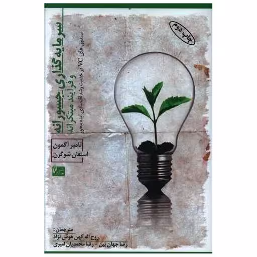کتاب سرمایه گذاری جسورانه و فرآیند مبتکرانه اثر تامیر آگمون