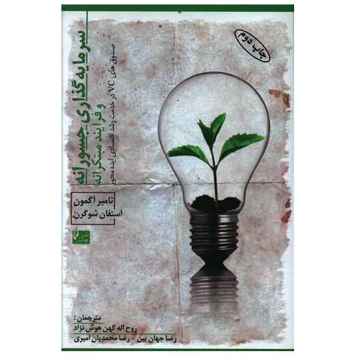 کتاب سرمایه گذاری جسورانه و فرآیند مبتکرانه اثر تامیر آگمون