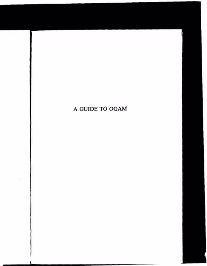 خرید و دانلود نسخه کامل کتاب A guide to Ogam