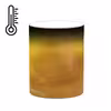 ماگ حرارتی کاکتی طرح اسلامی مدل mgh20617