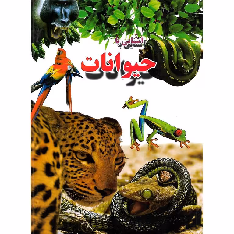 آشنایی با حیوانات