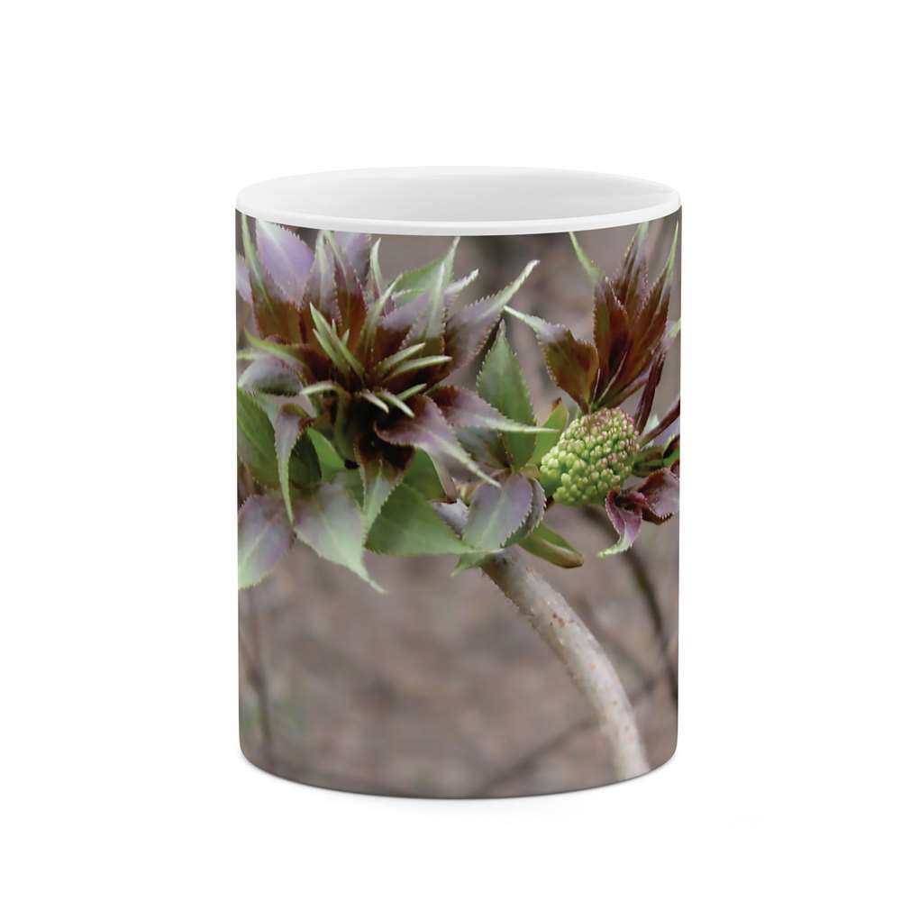 ماگ طرح گل مدل mgs05205