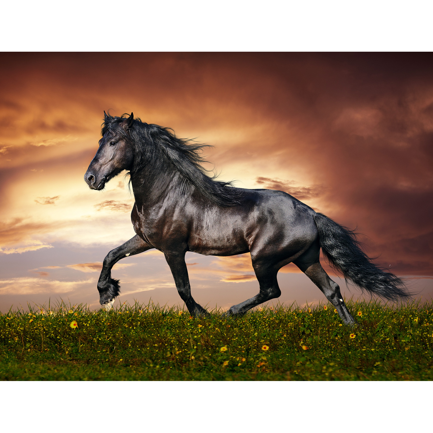 تابلو شاسی طرح اسب