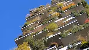 پاورپوینت شناخت گیاهان جهت استفاده در معماری به زبان انگلیسی