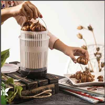 ظرف نگهدارنده ترشی بزرگ tapco