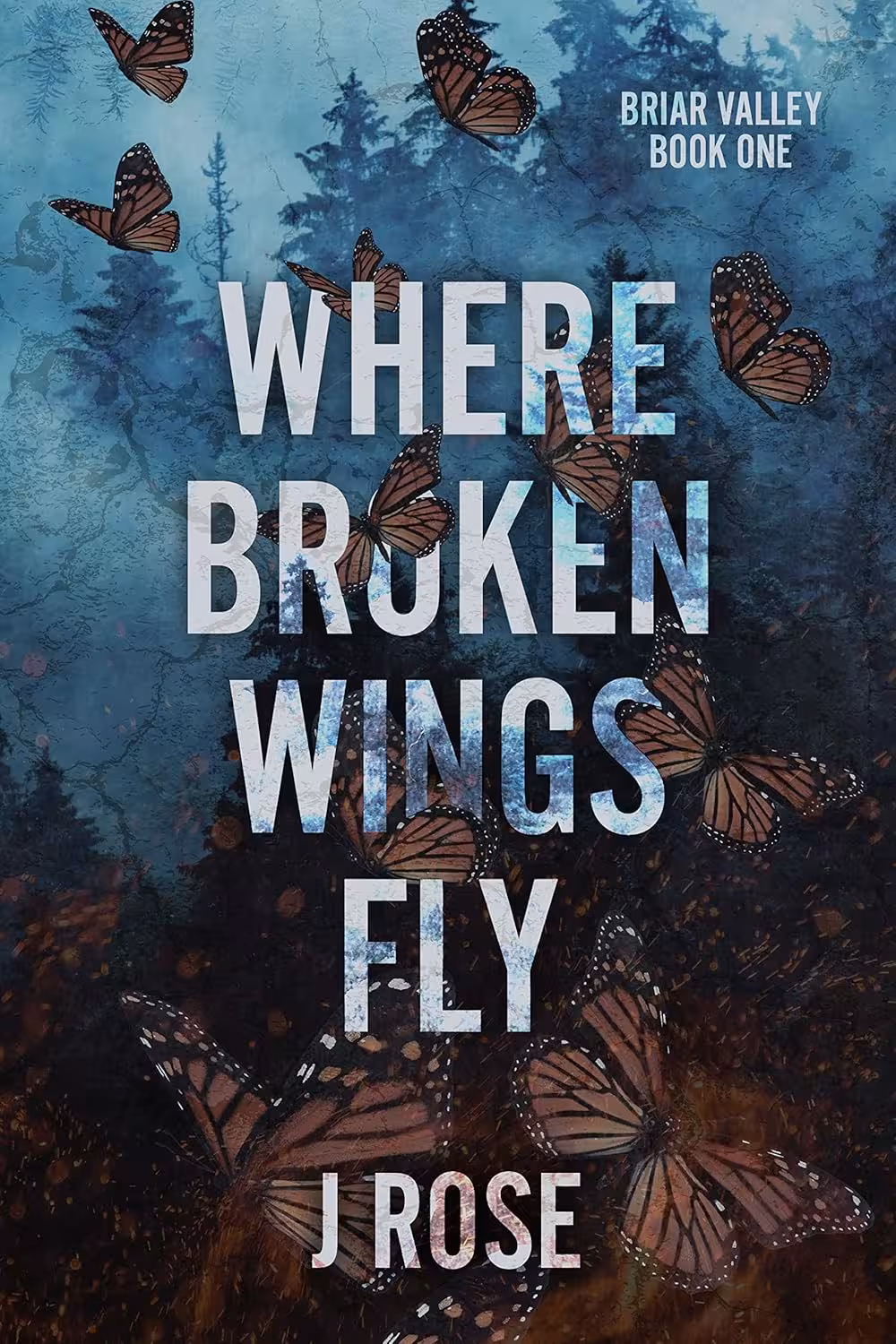 Where Broken Wings Fly (Briar Valley Book 1)