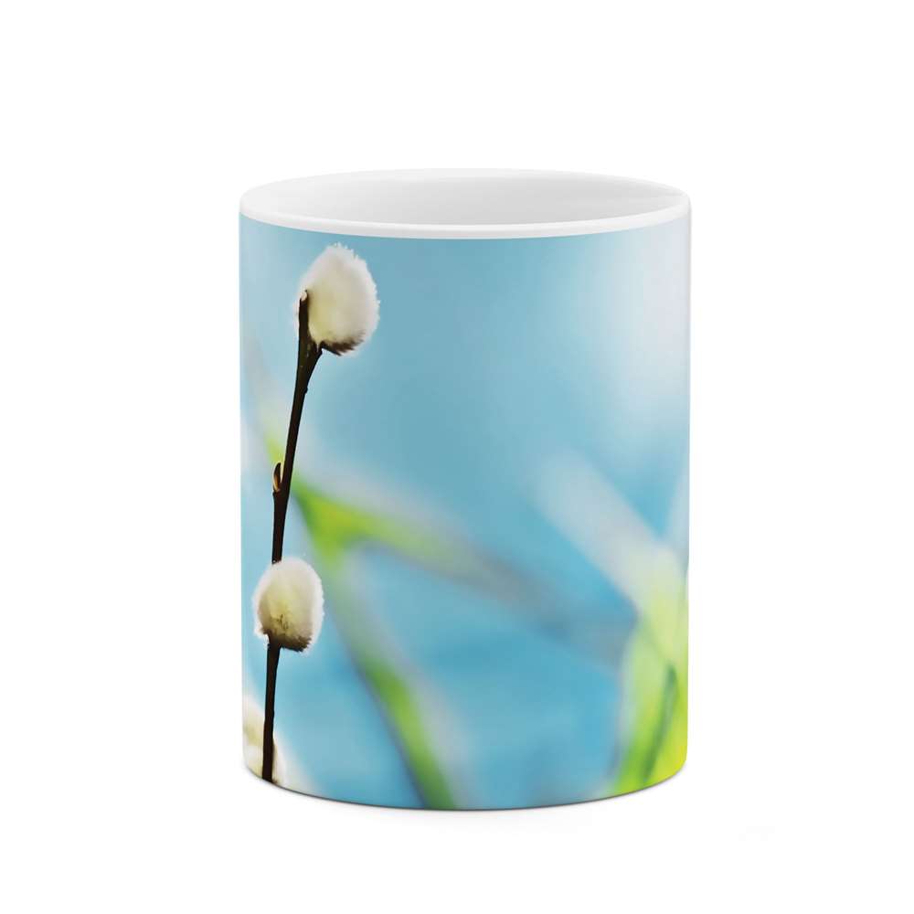 ماگ طرح شکوفه گل مدل mgs06792