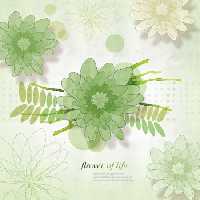 خرید و دانلود عکس ShutterStock-2014-Backgrounds &amp; Textures کد 53172 | پیک فاکس | Pic Fox