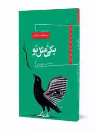 پانوراما 17 ... یکی مثل تو