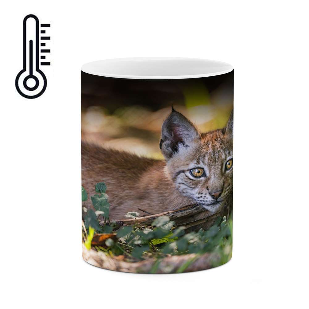 ماگ حرارتی کاکتی طرح گربه مدل mgh16644