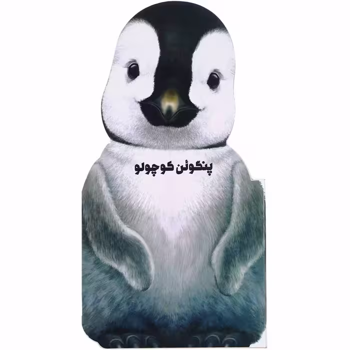کتاب پنگوئن کوچولو مجموعه حیوانات کوچک اثر جیووانی کاویزل انتشارات بین المللی گاج
