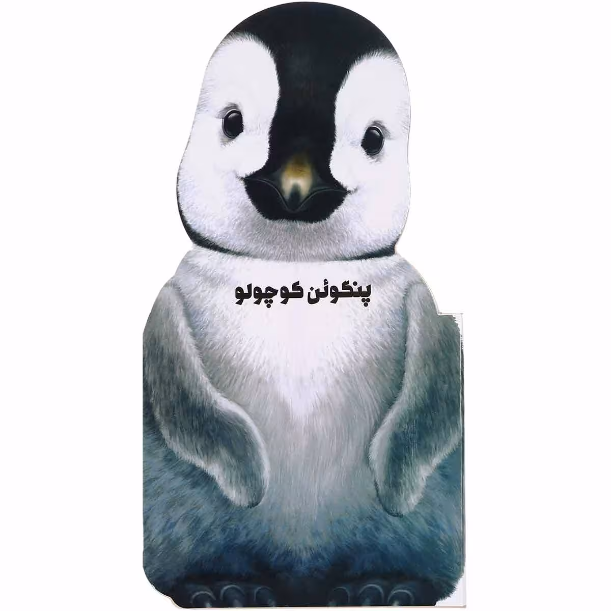 کتاب پنگوئن کوچولو مجموعه حیوانات کوچک اثر جیووانی کاویزل انتشارات بین المللی گاج