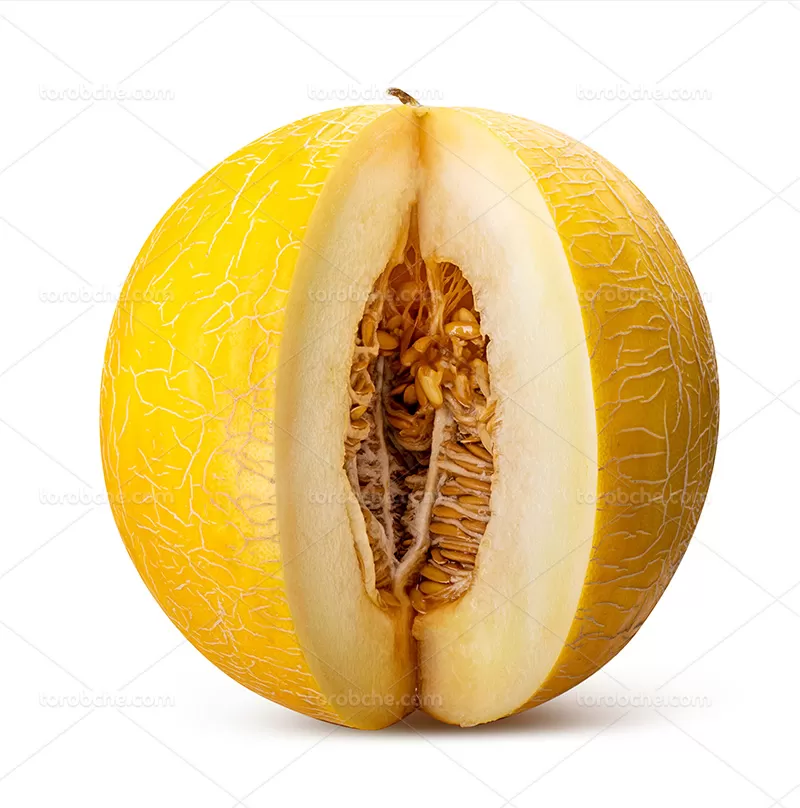 عکس خربزه | گرافیک با طعم تربچه