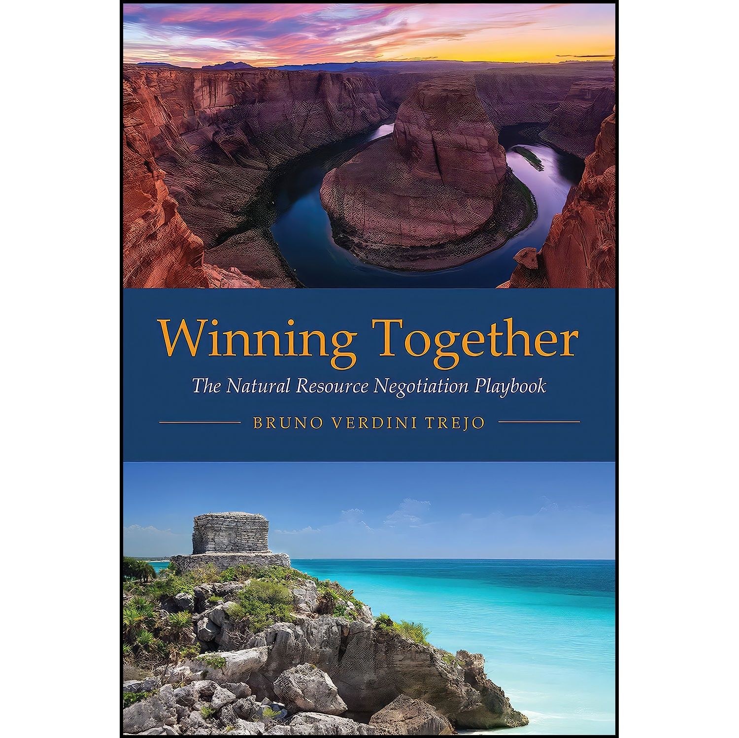 کتاب زبان اصلی Winning Together اثر Bruno Verdini Trejo
