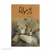کتاب راز مولانا اثر برد گوچ نشر نگاه