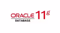 نرم افزار ویندوز Oracle Database 11g Release 1 for Microsoft Windows (32-bit)