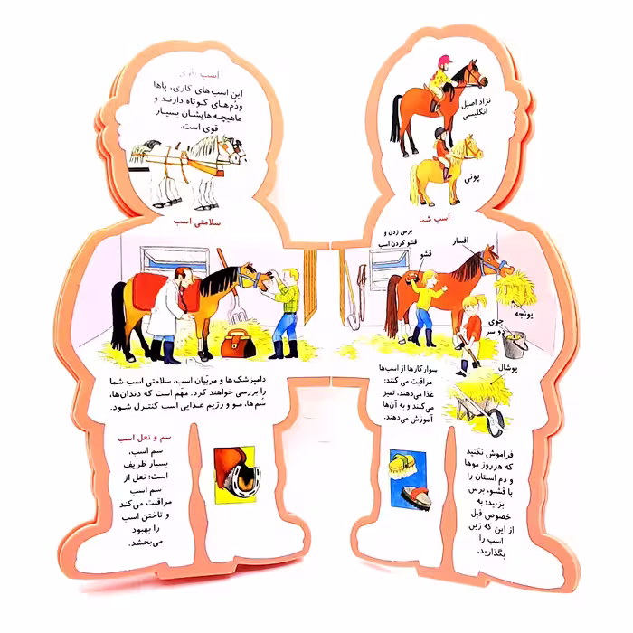 کتاب  سوارکار اثر جووانی کاویتسل انتشارات سایه گستر