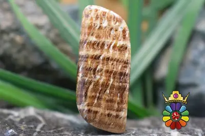 اراگونیت قهوه ای