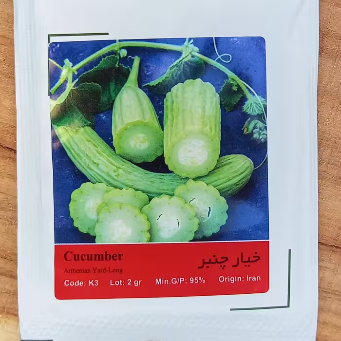 بذر خیار چنبر 