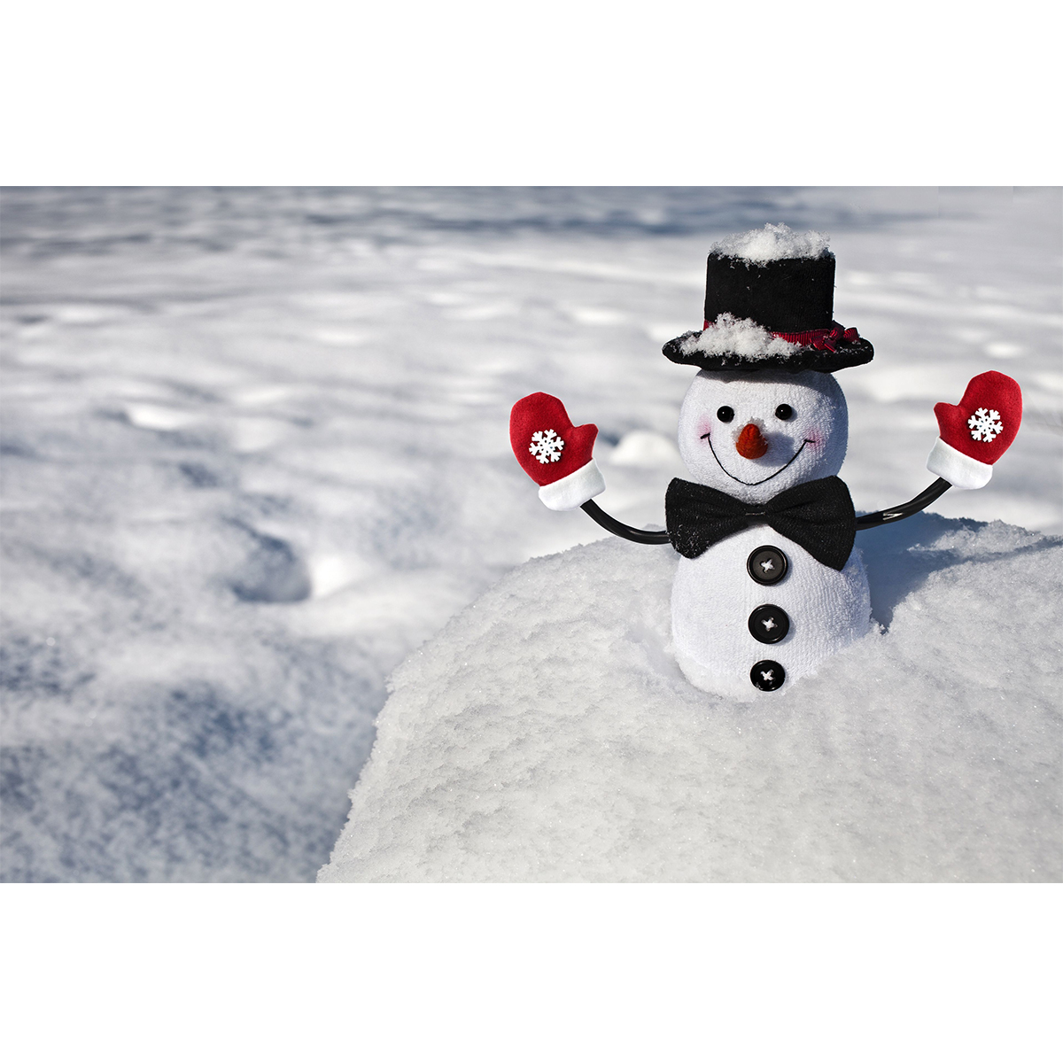 تابلو شاسی طرح آدم برفی کد 22