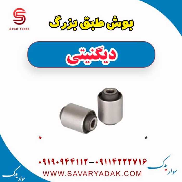 بوش طبق بزرگ دیگنیتی