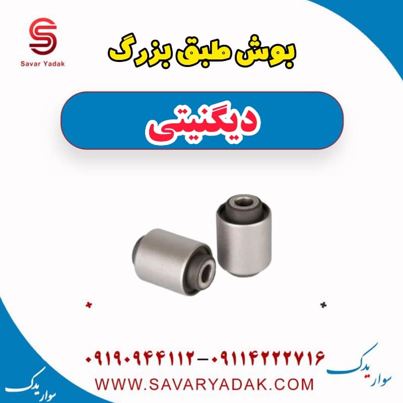 بوش طبق بزرگ دیگنیتی