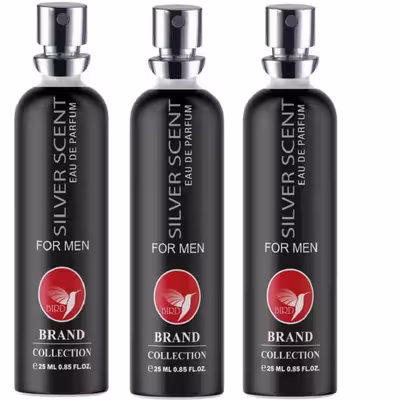 عطر جیبی مردانه برد برند کالکشن مدل سیلور سنت حجم 25 میلی لیتر مجموعه 3 عددی