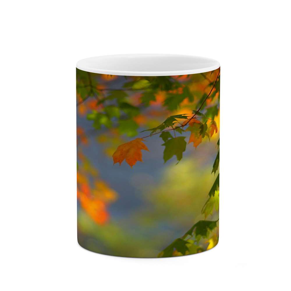 ماگ کاکتی طرح منظره مدل mgs16207