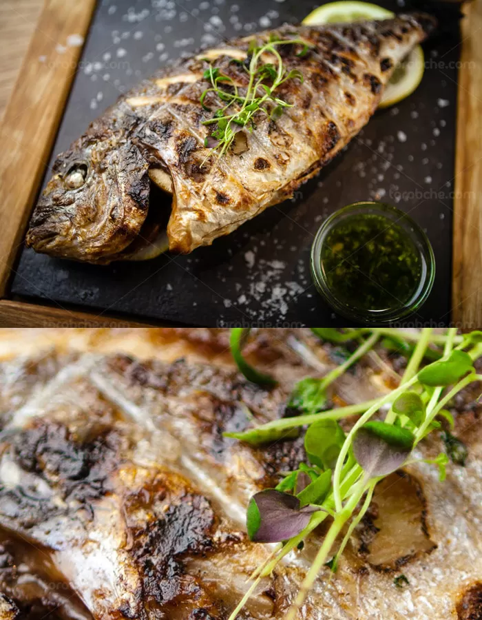عکس با کیفیت ماهی گریل شده - گرافیک با طعم تربچه