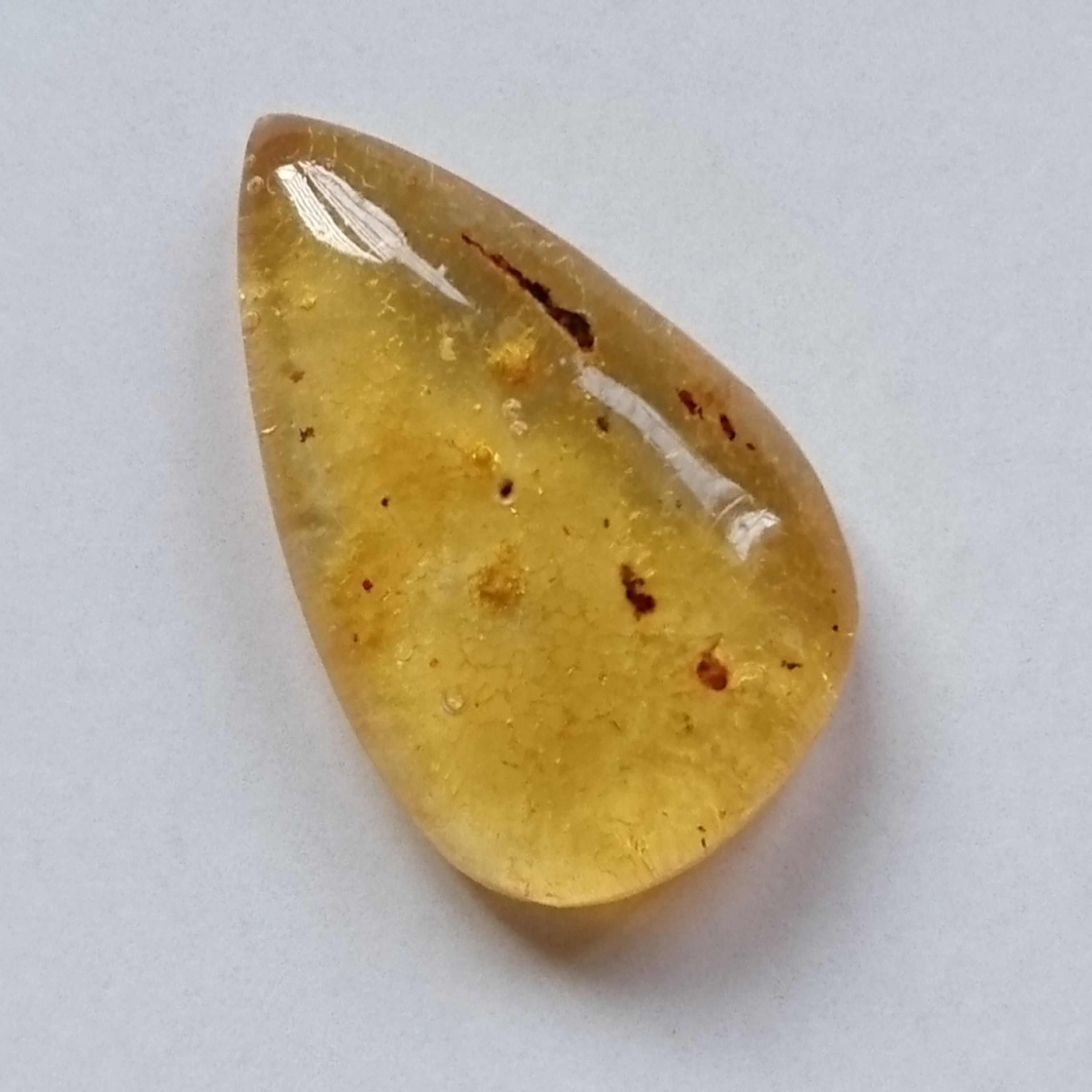 نگین کهربا حشره دار بالتیک طبیعی (3)