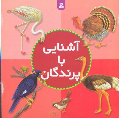 آشنایی با پرندگان