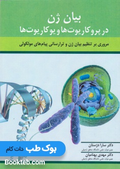 بیان ژن در پروکاریوت ها و یوکاریوت ها