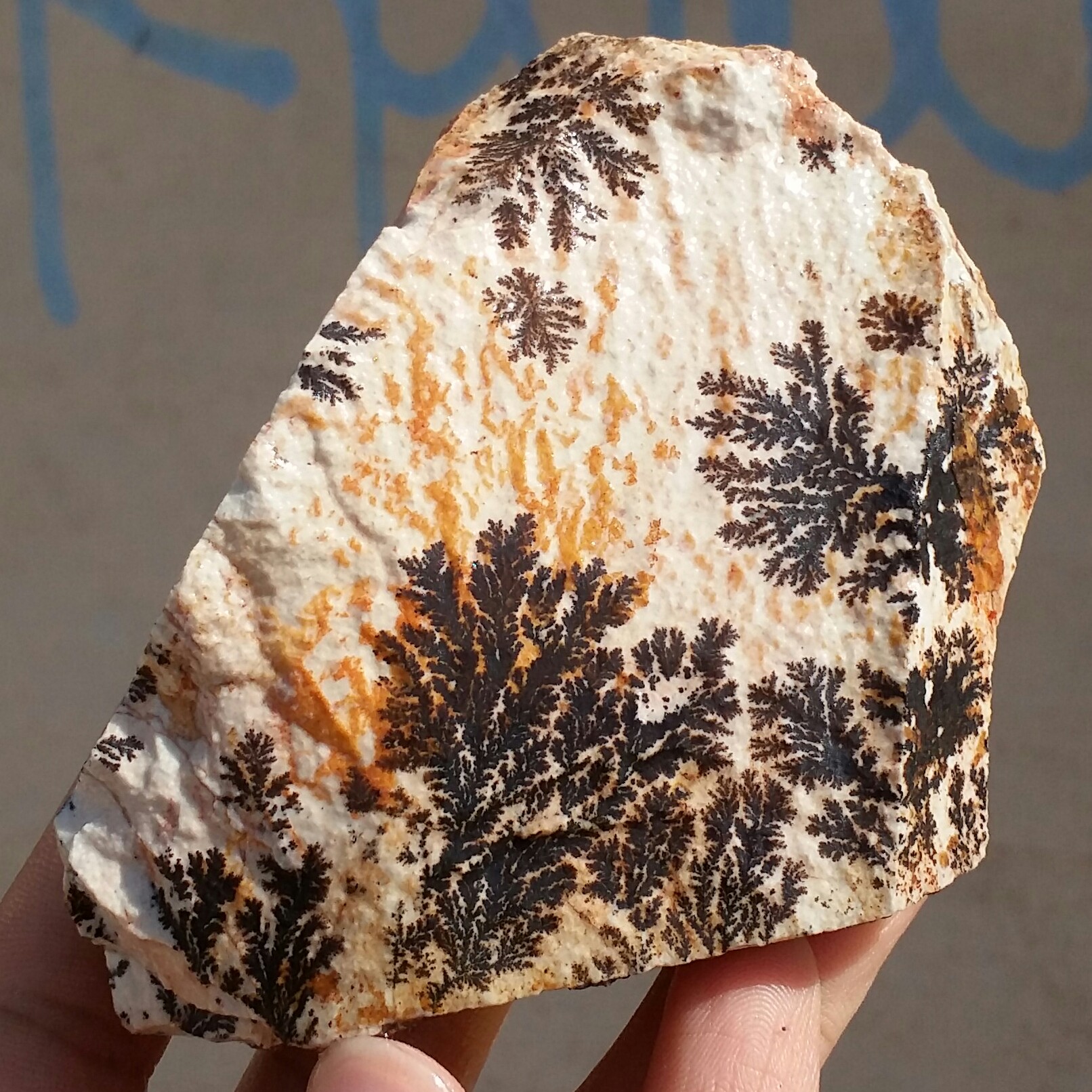 سنگ راف 100 در 100 طبیعی شجر دندریتی یا فسیلی درشت محشر  خاص شاهکار خلقت
شجر واضح خاص
تصویر از 4طرف نمونه
کد 11034