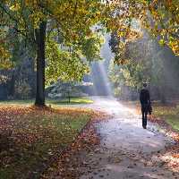 خرید و دانلود عکس Nature-Part-21 کد 36107 | پیک فاکس | Pic Fox