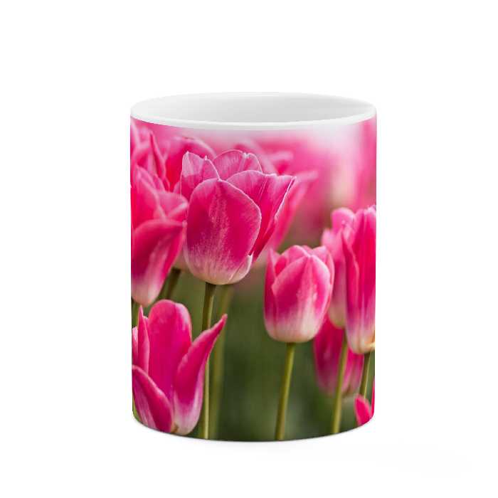 ماگ طرح گل مدل mgp03139