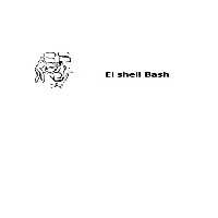 خرید و دانلود نسخه کامل کتاب El shell Bash
