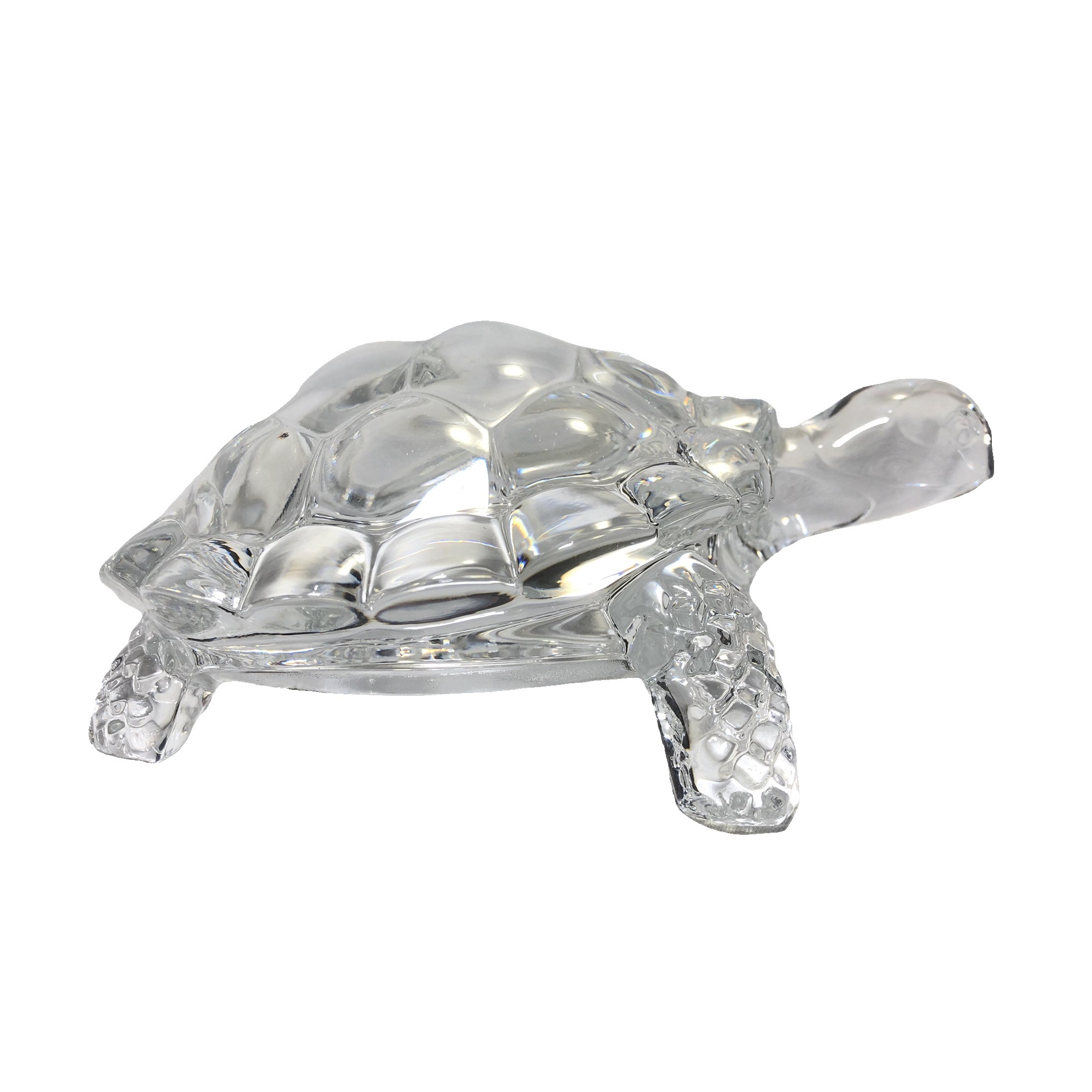 مجسمه  مدل لاک پشت لانگ شامپ