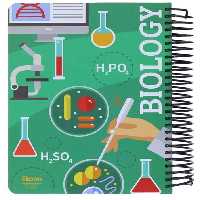 الیپون 200 برگ سیمی موضوعی 4 طرح (کد 248) - کتاب‌فروشی کوچه کتاب